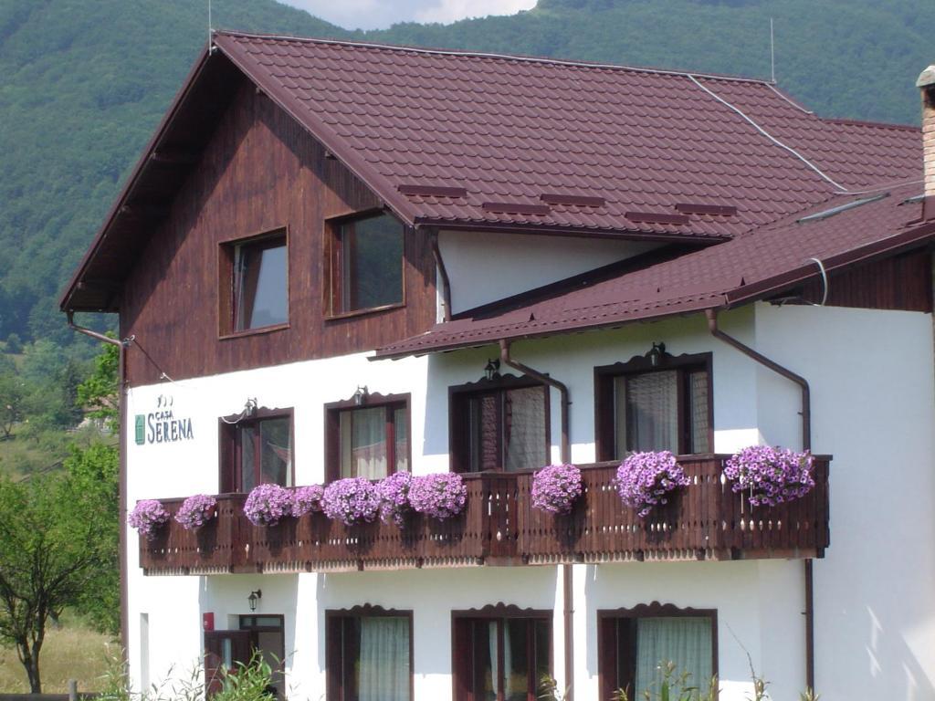 Serena Guesthouse Bran Bran  Extérieur photo