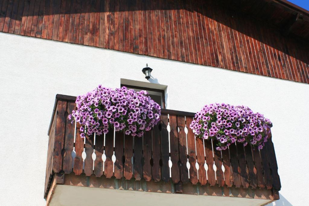 Serena Guesthouse Bran Bran  Extérieur photo